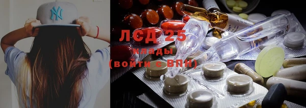 бошки Новодвинск