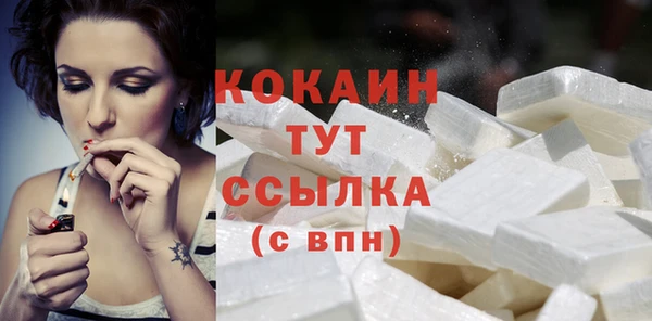 PSILOCYBIN Вуктыл