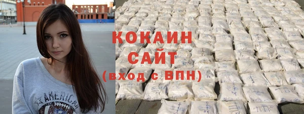 шишки Всеволожск